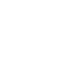 Optimización y Entrenamiento