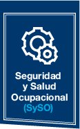 Seguridad y Salud Ocupacional (SySO)